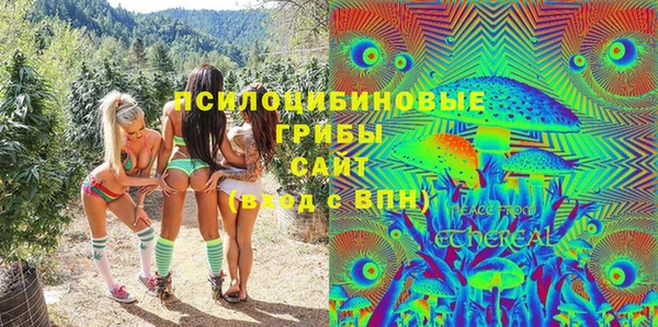 соль ск Верея