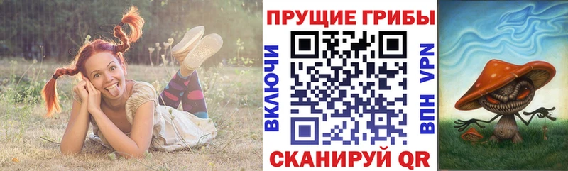 Галлюциногенные грибы MAGIC MUSHROOMS Владимир